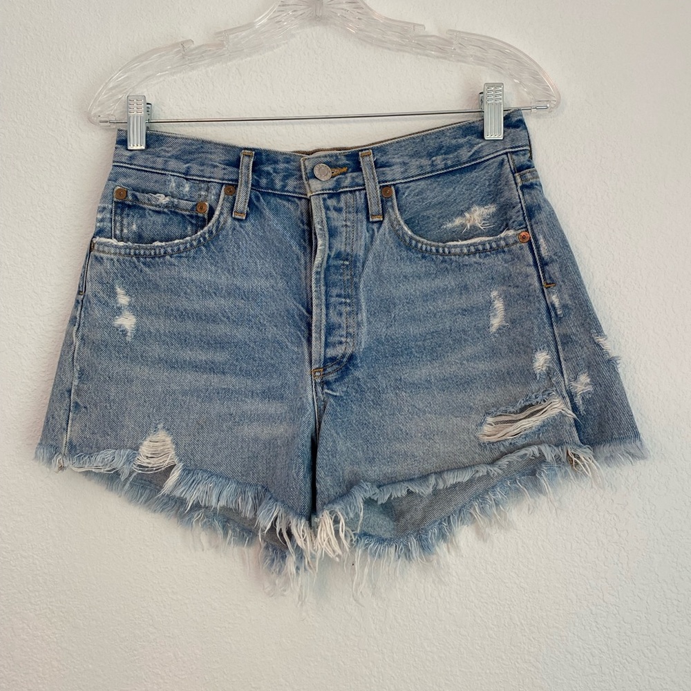 Agolde Parker Vintage Cutoff Shorts in Swapmeet